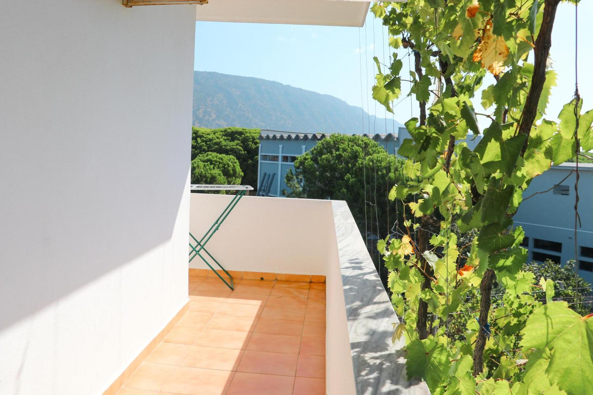 Green Villa Velipoje