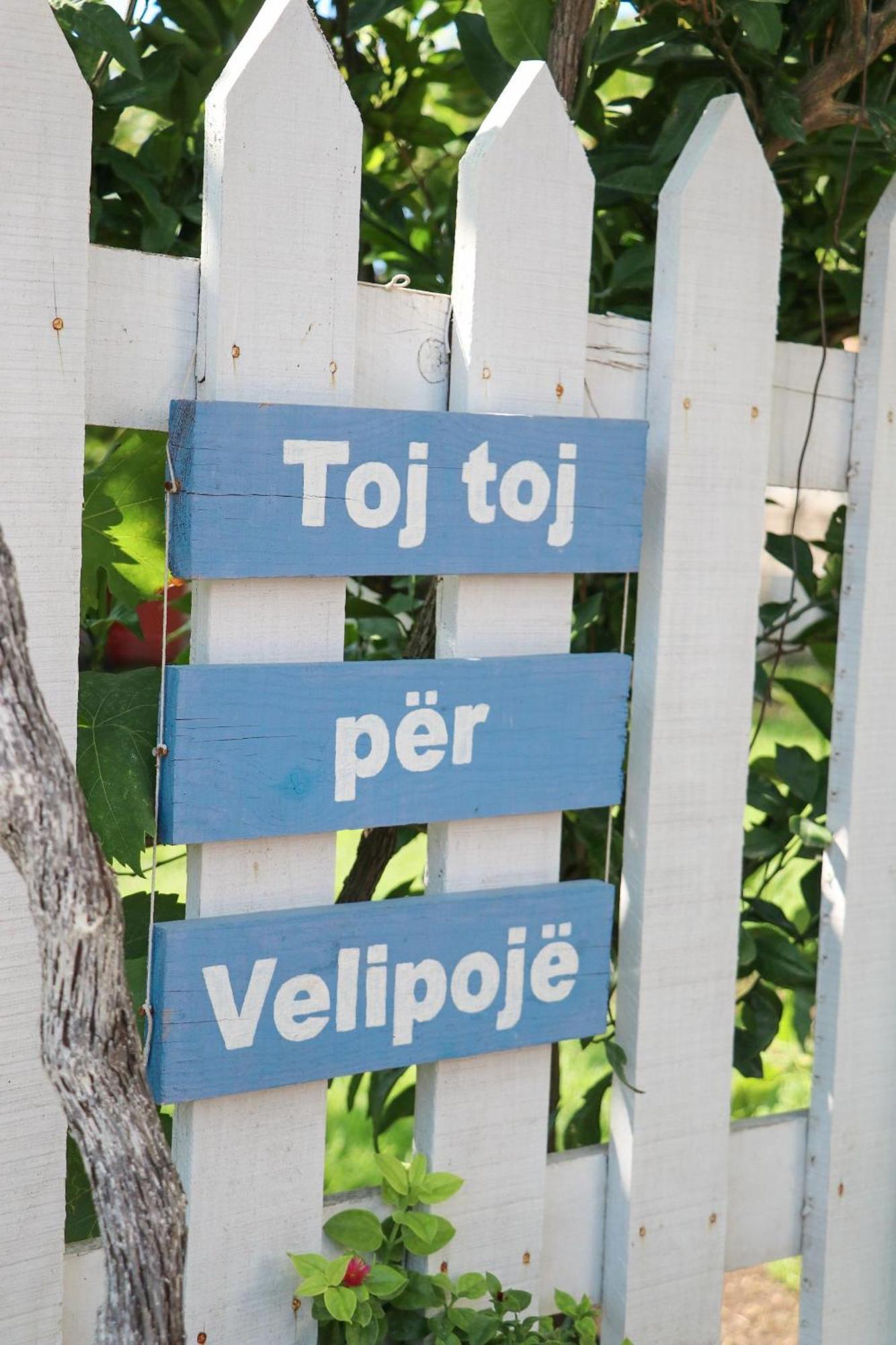 Green Villa Guest house *