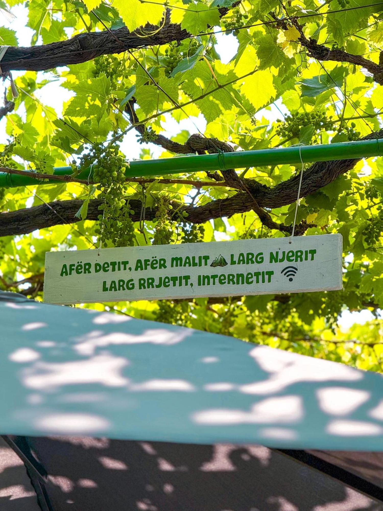 Green Villa *